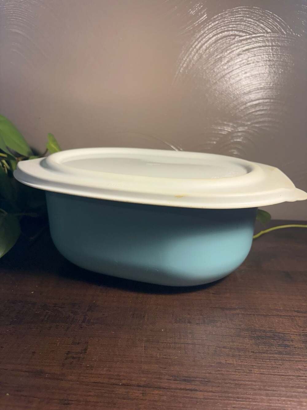 Vintage Tupperware Ovenworks 3 Quart Oval Roaster Casserole with Lid 3651A/3653A